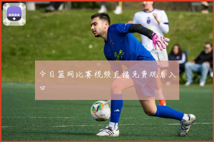 今日篮网比赛视频直播免费观看入口