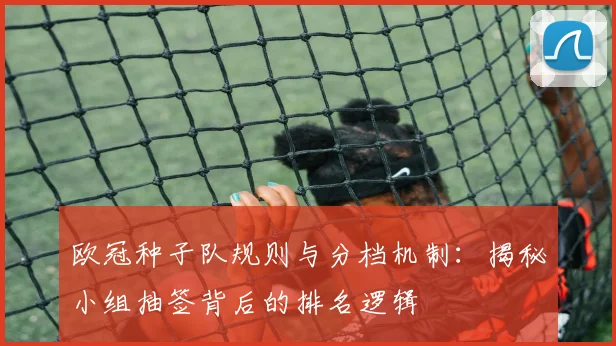 欧冠种子队规则与分档机制:揭秘小组抽签背后的排名逻辑
