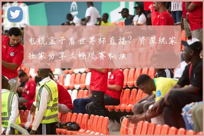 电视盒子看世界杯直播？资深玩家独家分享流畅观赛秘诀