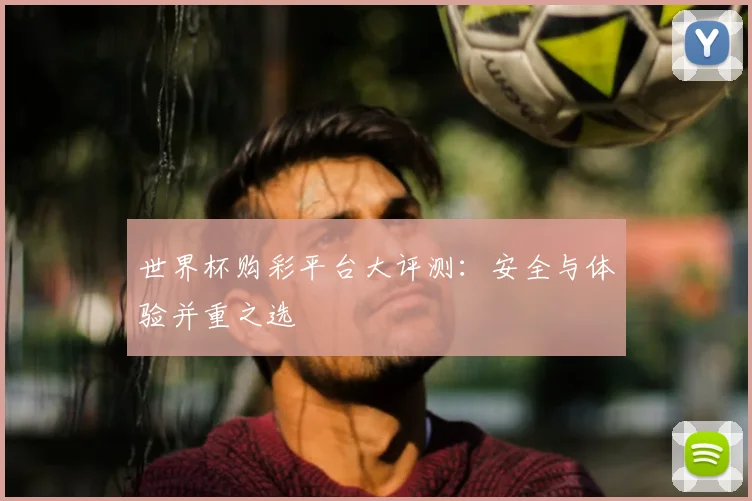 世界杯购彩平台大评测:安全与体验并重之选