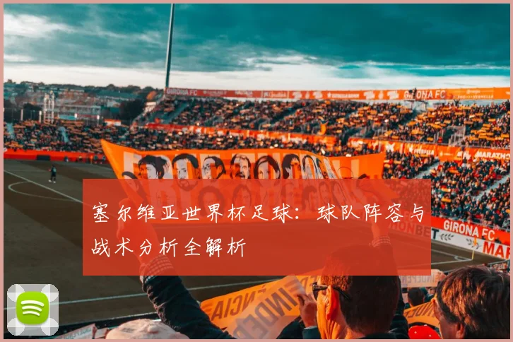 塞尔维亚世界杯足球：球队阵容与战术分析全解析