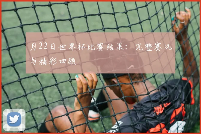 月22日世界杯比赛结果：完整赛况与精彩回顾