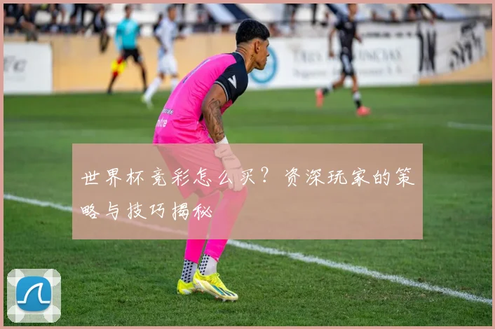 世界杯竞彩怎么买？资深玩家的策略与技巧揭秘