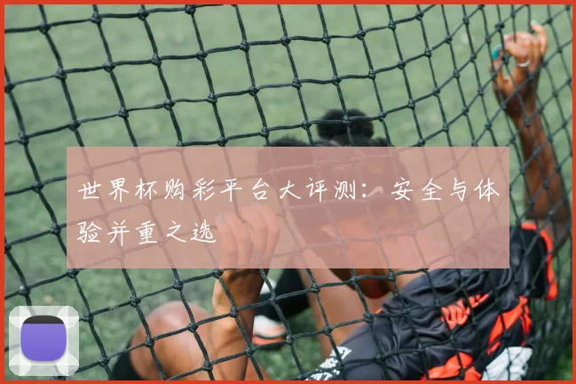 世界杯购彩平台大评测：安全与体验并重之选