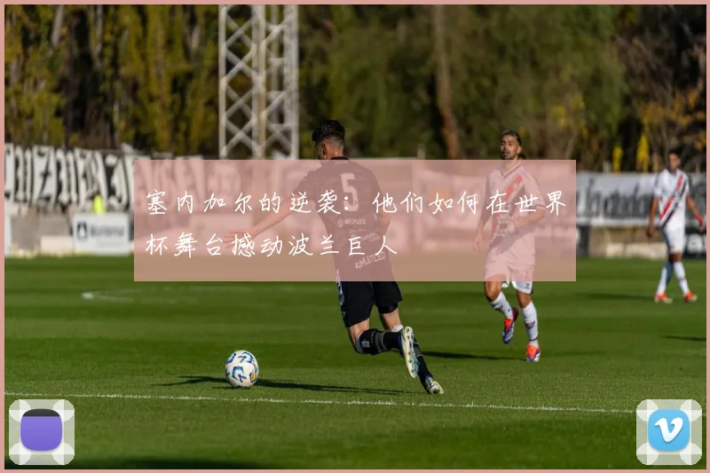 塞内加尔的逆袭：他们如何在世界杯舞台撼动波兰巨人
