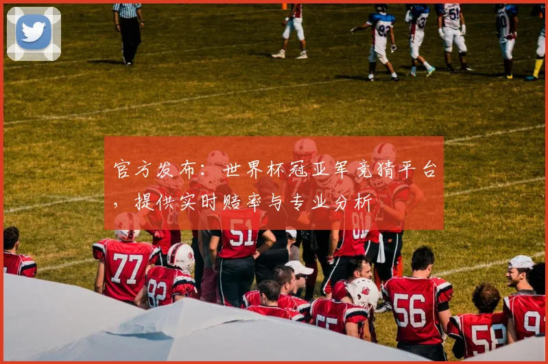 官方发布：世界杯冠亚军竞猜平台，提供实时赔率与专业分析
