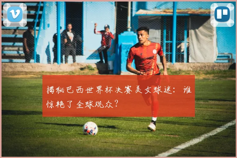 揭秘巴西世界杯决赛美女球迷：谁惊艳了全球观众？