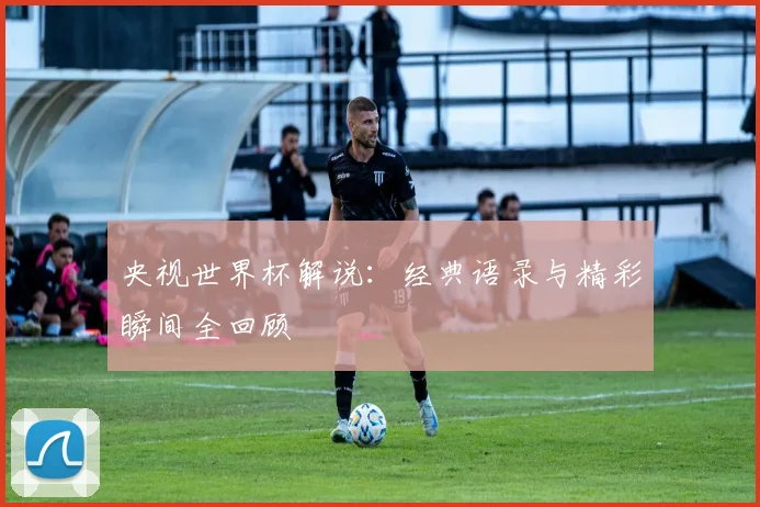 央视世界杯解说：经典语录与精彩瞬间全回顾