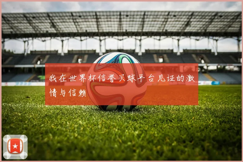 我在世界杯信誉买球平台见证的激情与信赖