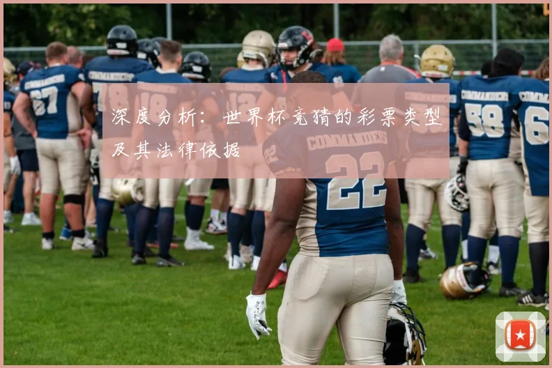 深度分析：世界杯竞猜的彩票类型及其法律依据