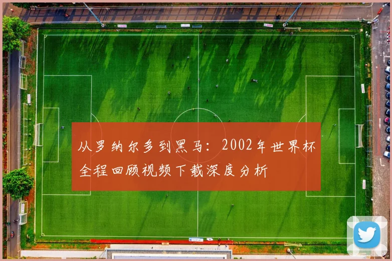 从罗纳尔多到黑马：2002年世界杯全程回顾视频下载深度分析