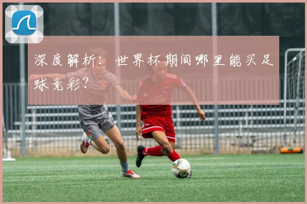 深度解析：世界杯期间哪里能买足球竞彩？