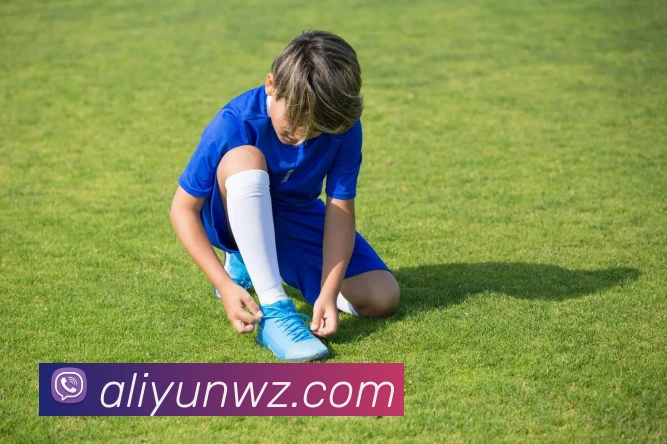 开云手机官方登录APP 封面图